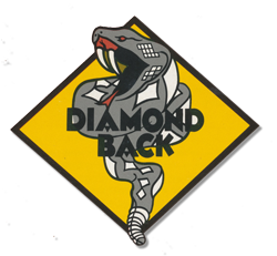 DB Logo